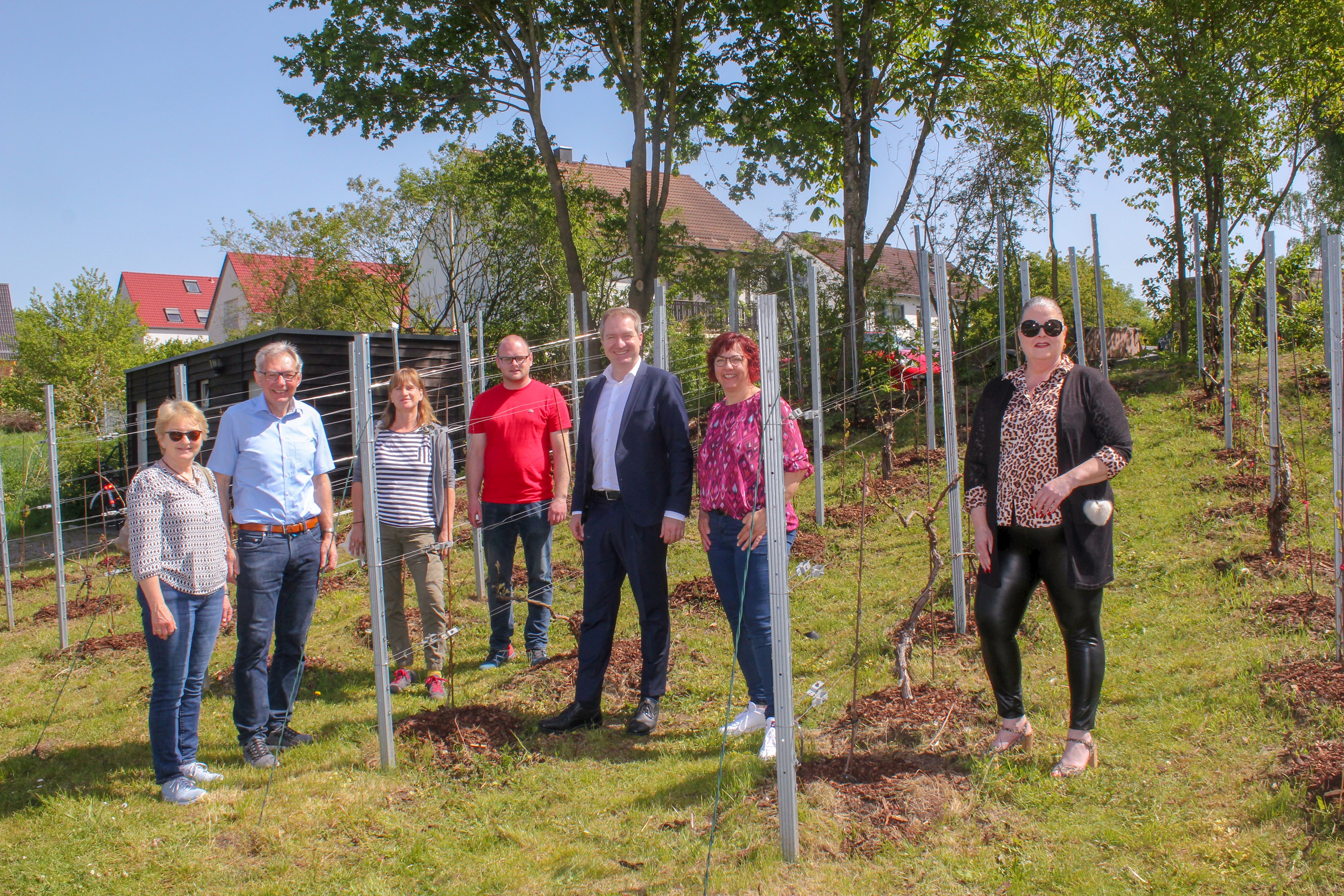 Das Ehepaar Spies, Birgit Frank (Umweltamt), Manuel Traub (Stadtgärtnerei), Oberbürgermeister Markus Ochsenkühn, Partnerschaftsreferentin Lissy Walter und Ulrike Rödl-Rosner (Kulturamt) freuen sich über den wiederbelebten Weinberg. Foto: Christian Wild / Stadt Neumarkt