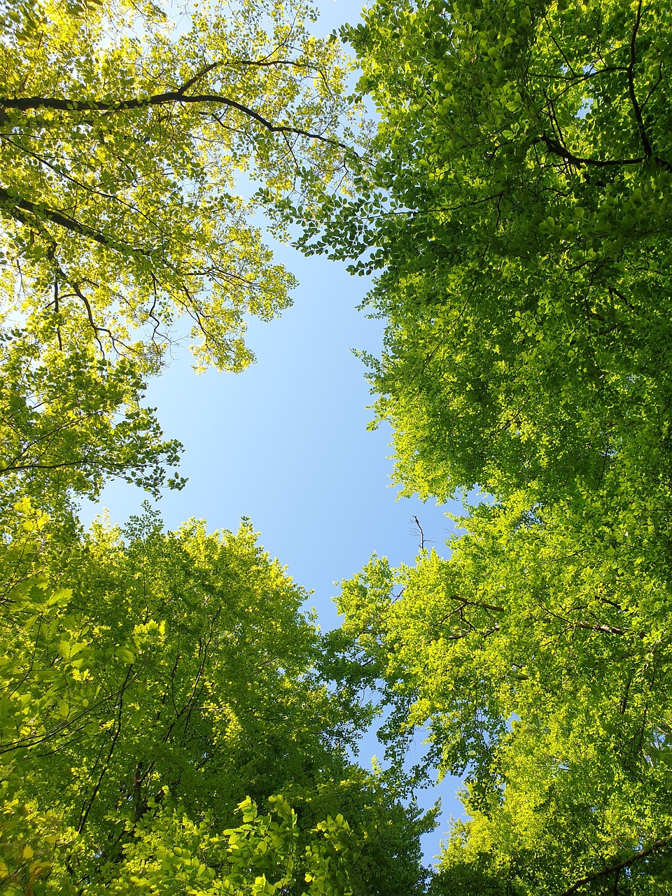 Foto: pixabay Leider haben wir keinen Alternativtext zu diesem Bild, aber wir arbeiten daran.