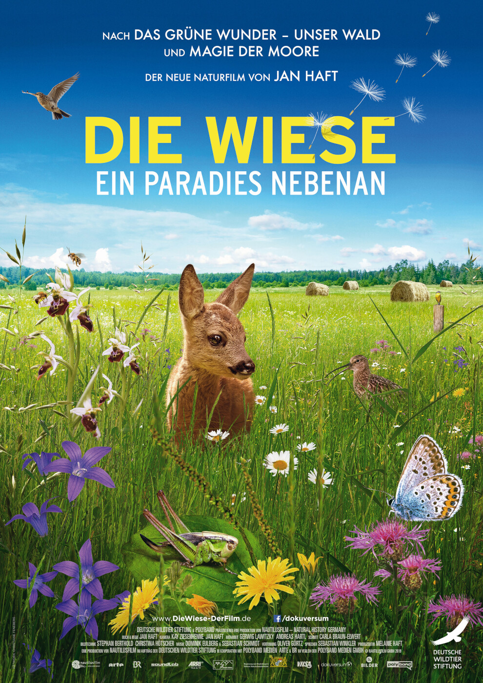 Abbildung: www.filmposter-archiv.de Leider haben wir keinen Alternativtext zu diesem Bild, aber wir arbeiten daran.